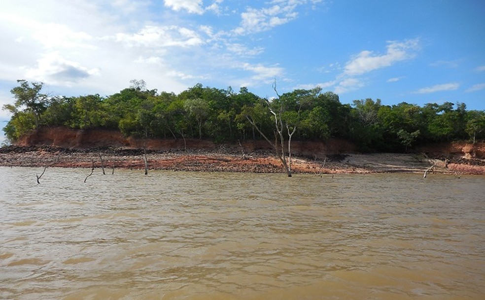 Pesquisadores encontram espécies com 280 milhões de anos. — Foto: Divulgação Universidade Federal do Piauí (UFPI)