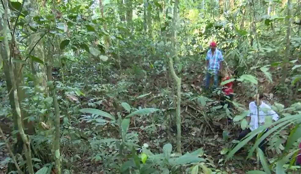 Um dos geoglifos achados pelos pesquisadores fica dentro de área de mata fechada na Reserva Extrativista Chico Mendes (Foto: Reprodução/Rede Amazônica Acre)