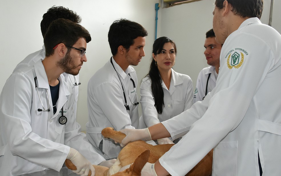 A professora Roberta Casale orienta os alunos no Centro Universitário Moura Lacerda em Ribeirão Preto — Foto: Juliano Gonçalves/G1