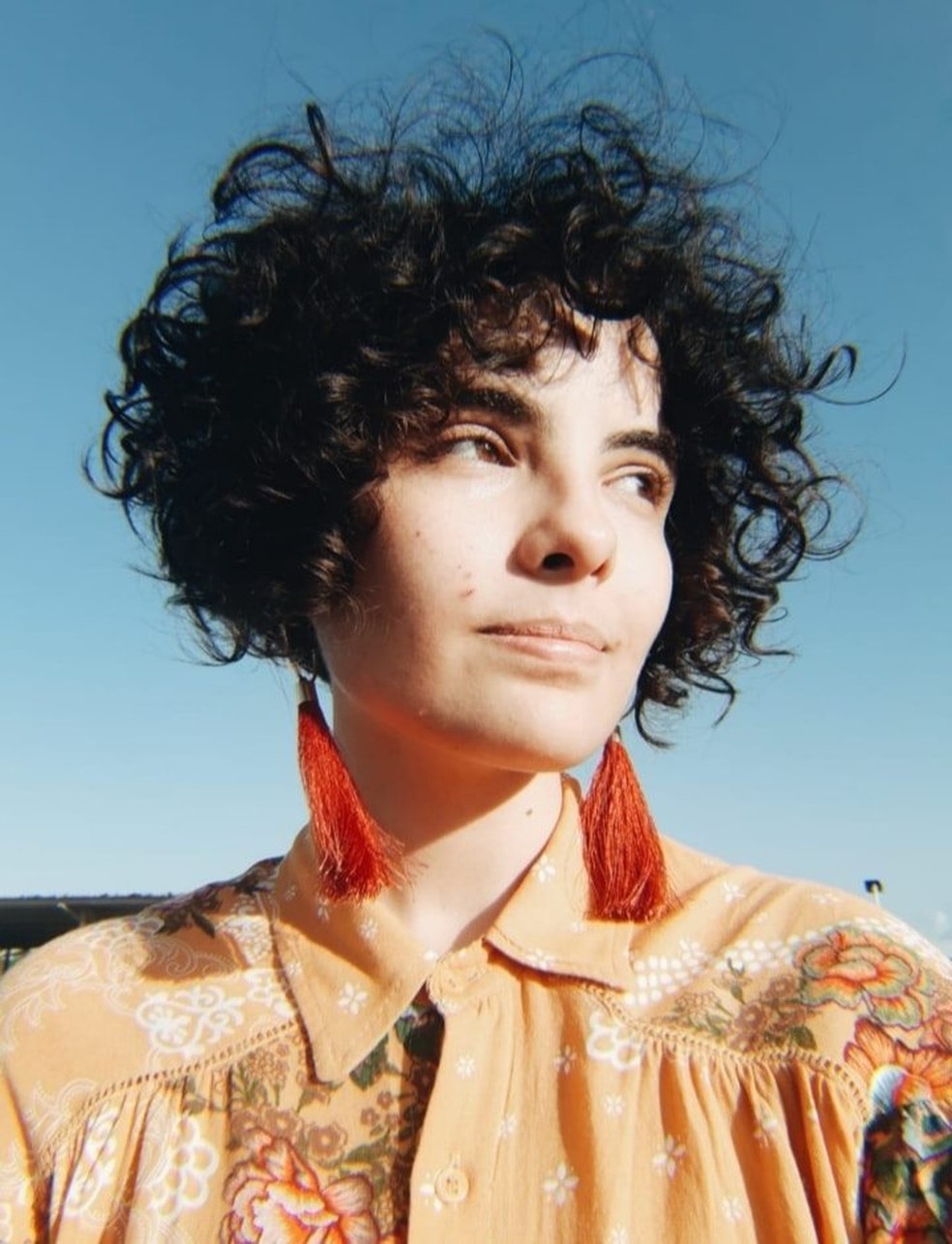 Artista Potiguar Oferece Minicurso Online E Gratuito De Colagem De Imagens Rio Grande Do Norte G1