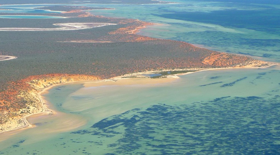 Vista aérea de Shark Bay na Austrália Ocidental — Foto: Ângela Rossen/Universidade da Austrália Ocidental
