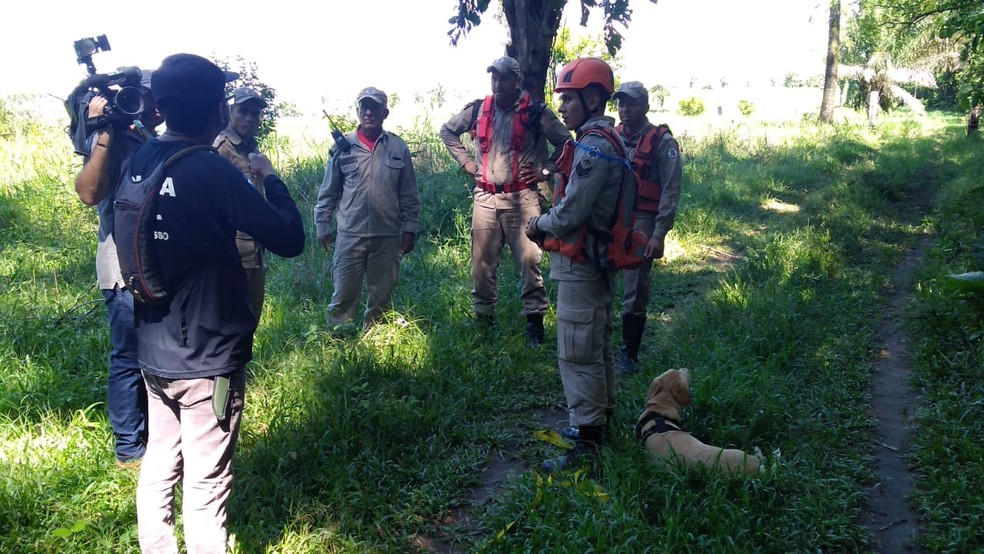 Bombeiros usaram cão farejador para tentar encontrar a vítima — Foto: Corpo de Bombeiros/Divulgação