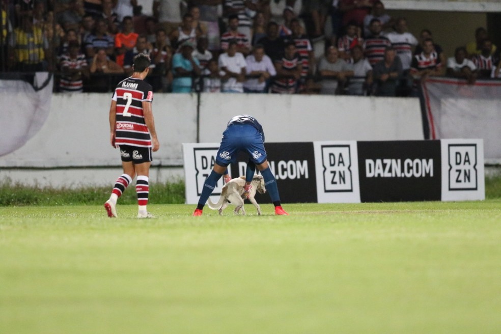 Coube a Anderson a responsabilidade de agarrar o animal — Foto: Aldo Carneiro / Pernambuco Press
