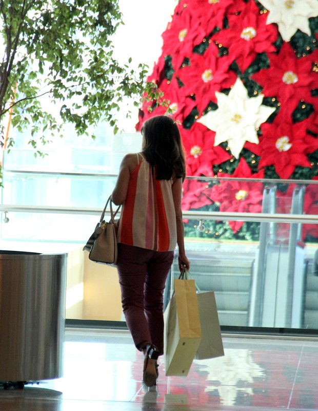Fátima Bernardes fazendo compras em shopping do Rio (Foto: J Humberto/ Agnews)
