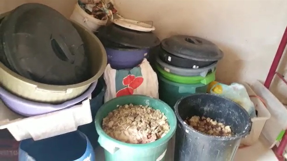 Açougue clandestino foi lacrado, em Tarabai — Foto: Polícia Civil 