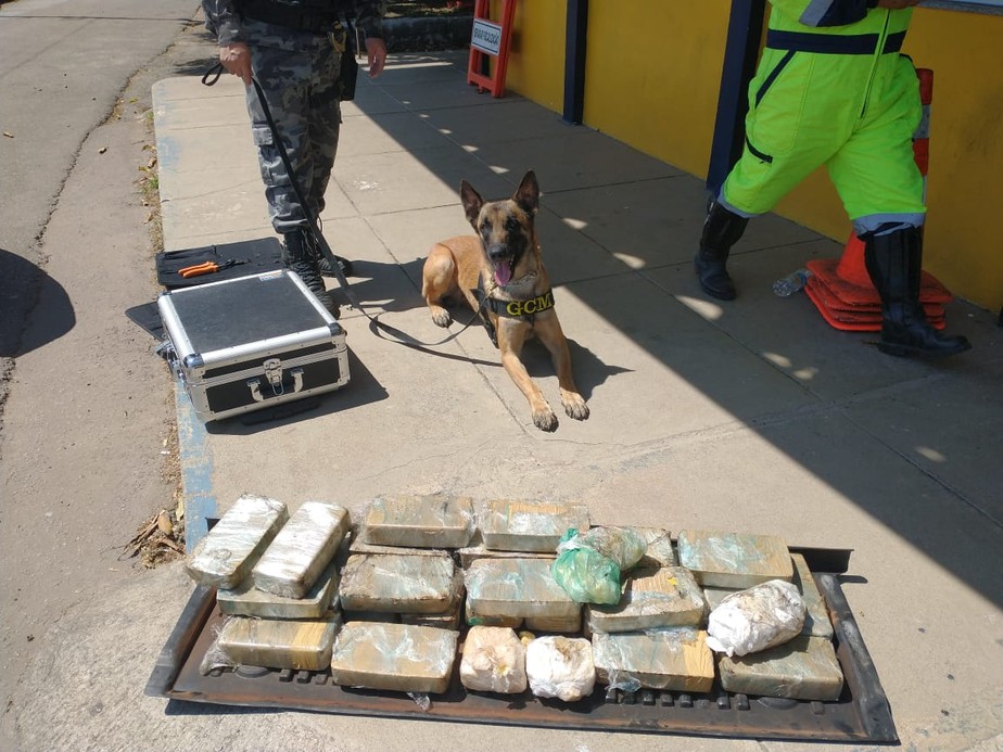 Cão encontra 50kg de cocaína em veículo durante operação da PRF, em Campos, RJ