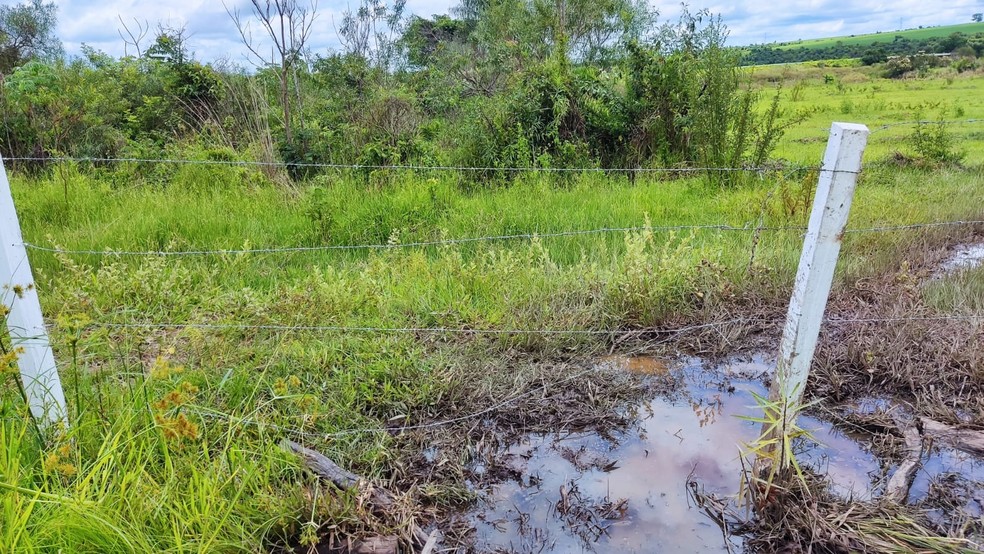 Área fiscalizada pela Polícia Ambiental em Guaiçara (SP) corresponde a 34 hectares — Foto: Polícia Ambiental
