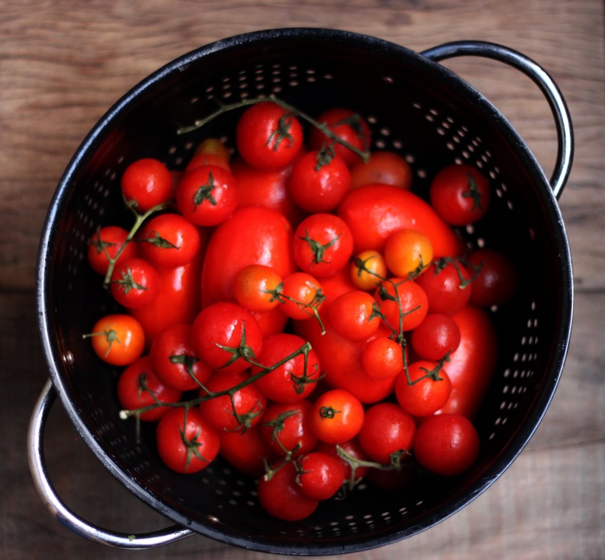 tomate seco (Foto: Larissa Januário)