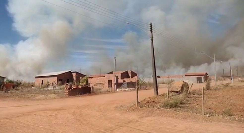 Fogo quase atingiu casas da cidade — Foto: Defesa Civil de Talismã/Divulgação
