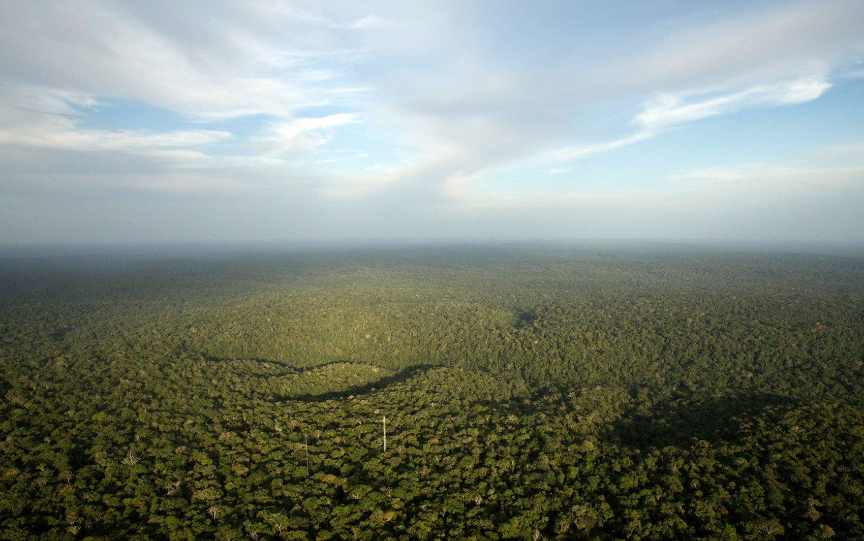 Pagar por serviço ambiental para conservar a Amazônia será eficaz se invasões de terra acabarem, dizem especialistas thumbnail