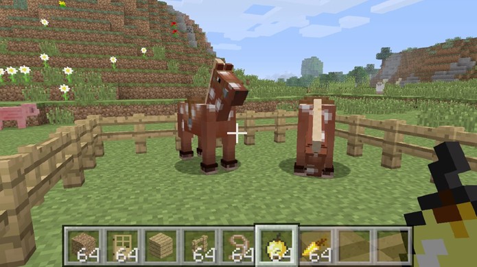 Alimente os cavalos com a maçã dourada ou cenoura dourada para que eles entrem em seu modo de reprodução em Minecraft (Foto: Reprodução/Rafael Monteiro)