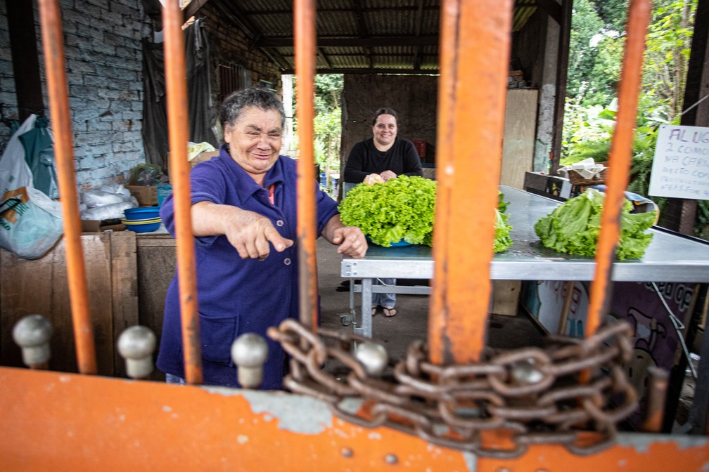 Maria das Mercedes Nóbrega, 75 anos, vende verduras e legumes em Santo André, na Grande São Paulo, e brinca a respeito da corrente no portão para impedi-la de sair de casa em tempos de quarentena — Foto: Fábio Tito/G1