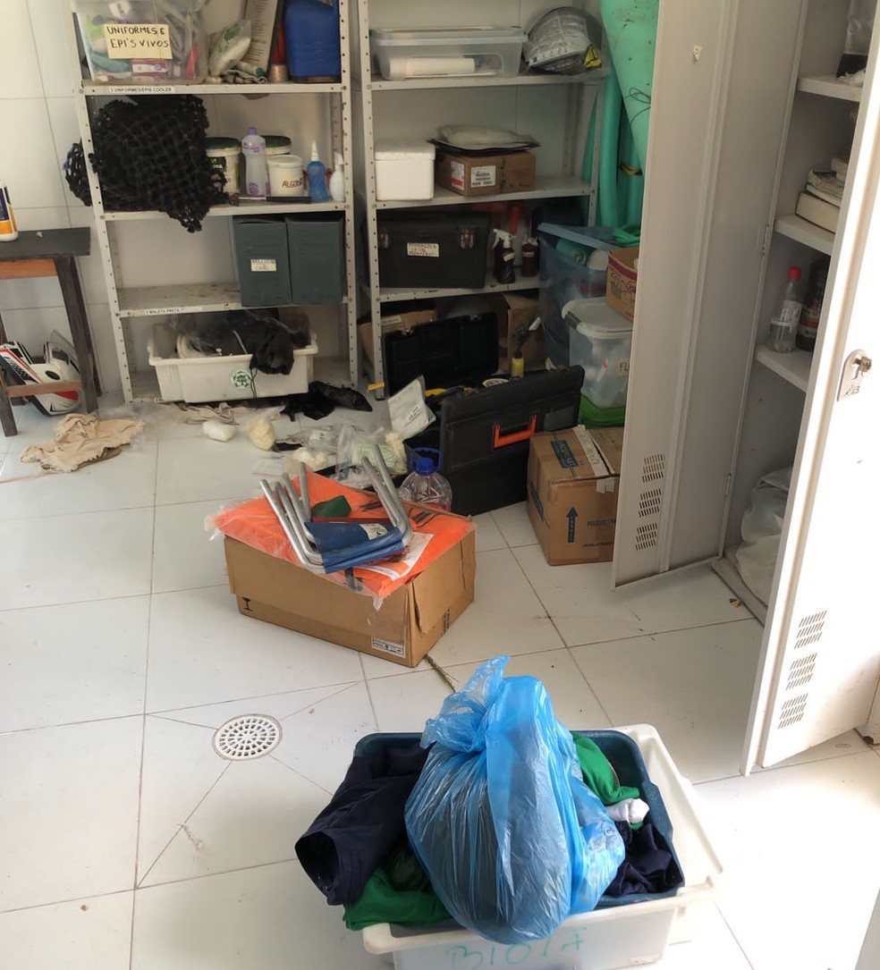 Sede da entidade foi assaltada no sábado — Foto: Biota