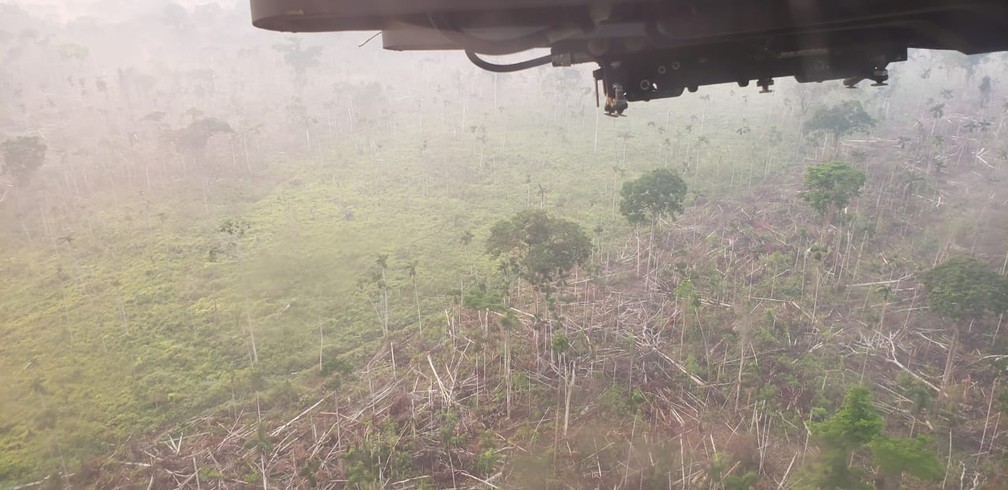 Operação descobre desmatamento em Rondônia.  — Foto: PF/Divulgação