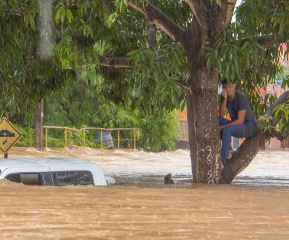 Morador subiu em árvore durante alagamento em Cacoal (RO); foto mostra que água cobriu um veículo quase completamente  — Foto: Prefeitura de Cacoal/Reprodução