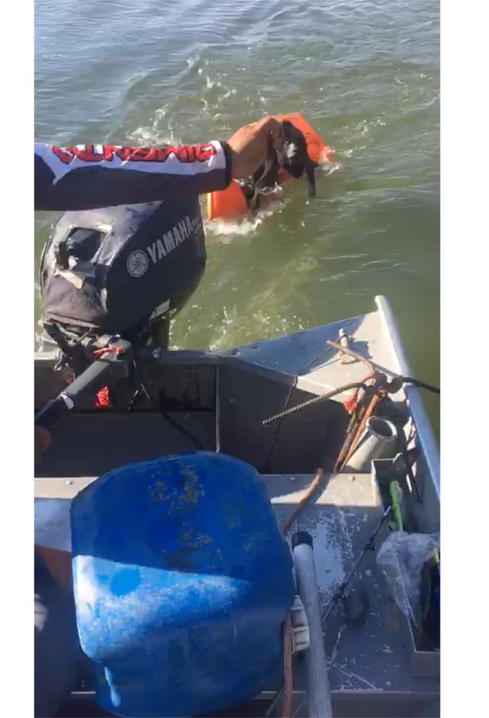Macaco se afogou ao tentar atravessar rio e foi salvo por pescadores em barco em Mato Grosso — Foto: José Renato Borella Chignallia/Arquivo pessoal