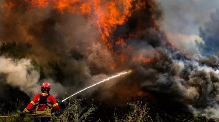 Baião, Portugal: Incêndios no norte são os piores do país desde 2017 (Foto: EPA via BBC)