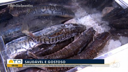 Palmenses optam pela feira na hora de compara peixe fresquinho