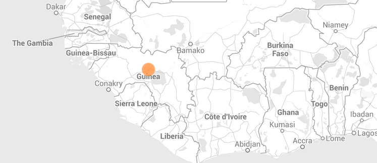 Alerta de ebola foi divulgado no site em 19 de março (Foto: Reprodução)