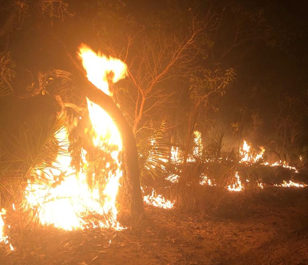 Incêndio atingiu 400 hectares em Bom Jesus, no Piauí — Foto: Divulgação/Prefeitura de Bom Jesus