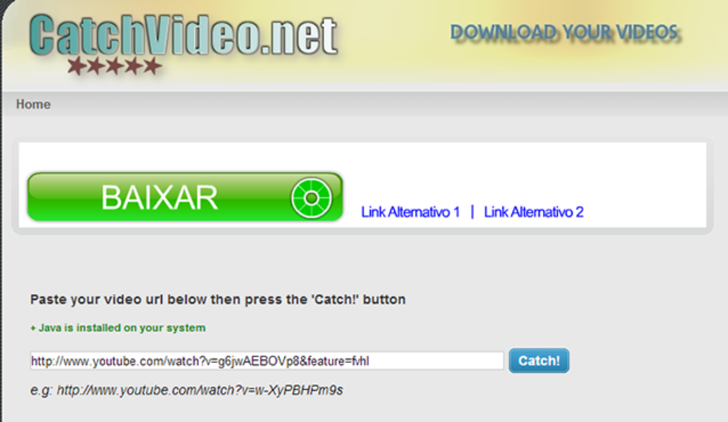 best online video downloader catchvideo.net