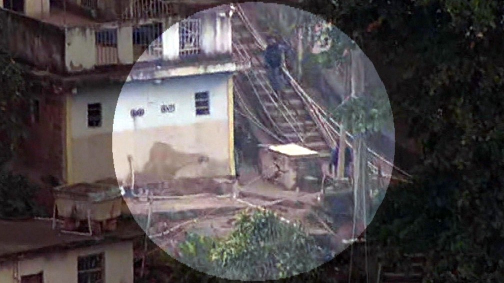 Gato é chutado por PM no Morro dos Macacos — Foto: Reprodução/TV Globo
