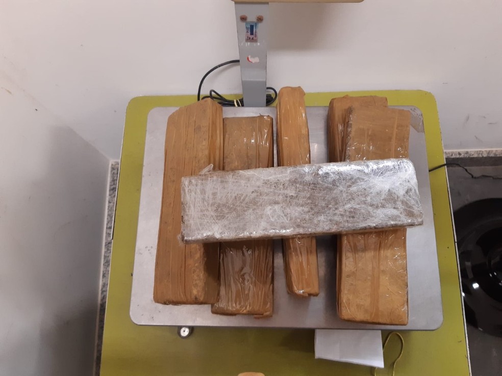 Maconha é encontrada por cadela de faro da Receita Federal nos Correios na Bahia — Foto: Receita Federal