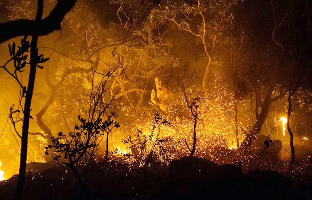 Incêndio florestal é combatido; país registra recorde de queimadas em 2017 (Foto: Fernando Tatagiba/ICMBio/AFP)