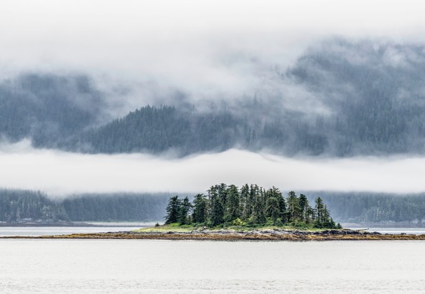 Haida Gwaii; Canadá; floresta (Foto: Thinkstock)