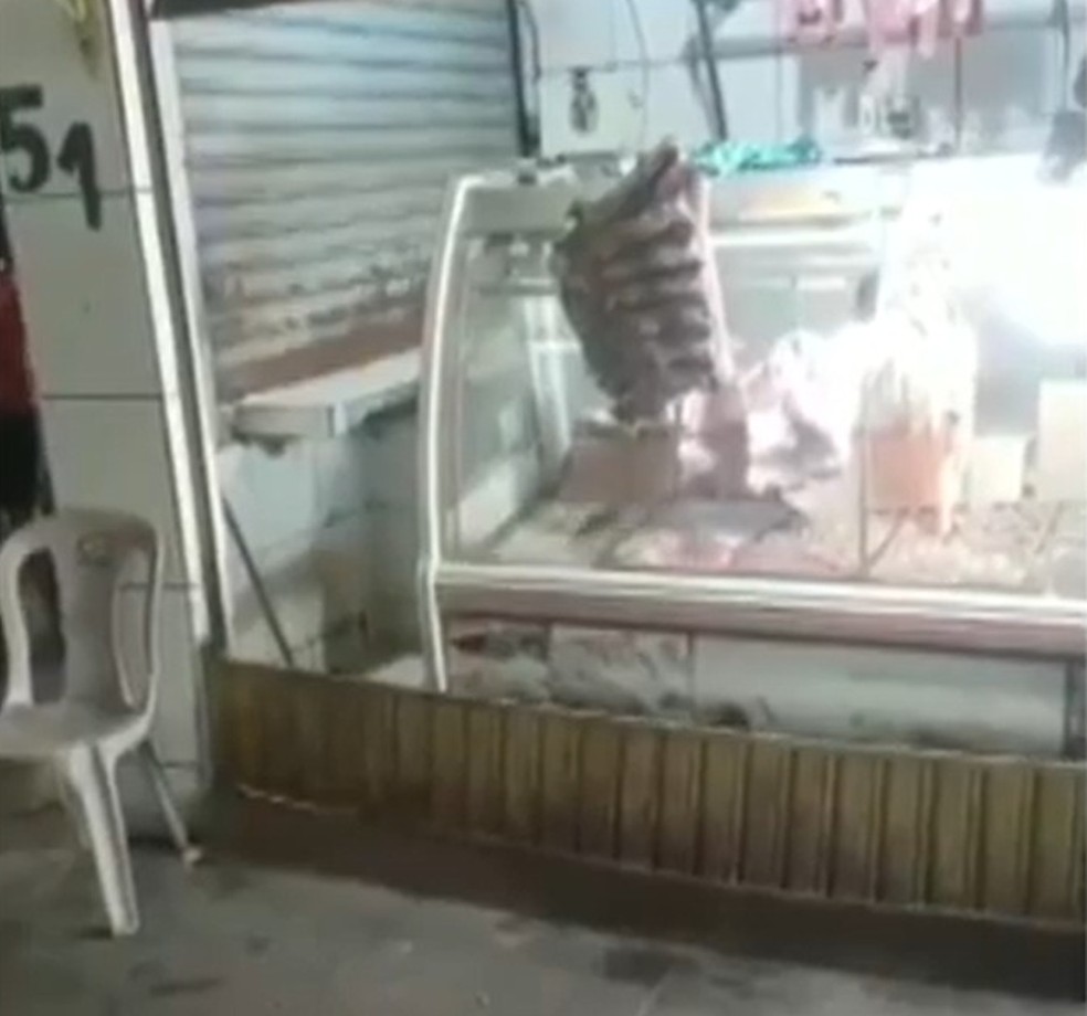 Rato é flagrado dentro de boxe de carnes no Centro de Abastecimento de Ilhéus — Foto: Blog do Gusmão