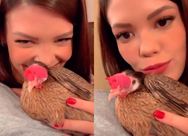 Vitória Strada posa com galinha Felipa em bastidores de Salve-se Quem Puder (Foto: Reprodução/Instagram)