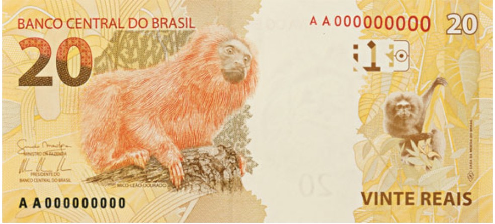 Nota de R$ 20,00 (verso) — Foto: Reprodução/Banco Central