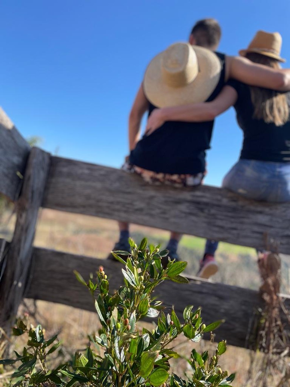 Juliane plantou uma flor no local em que seu pai morreu. — Foto: Arquivo pessoal