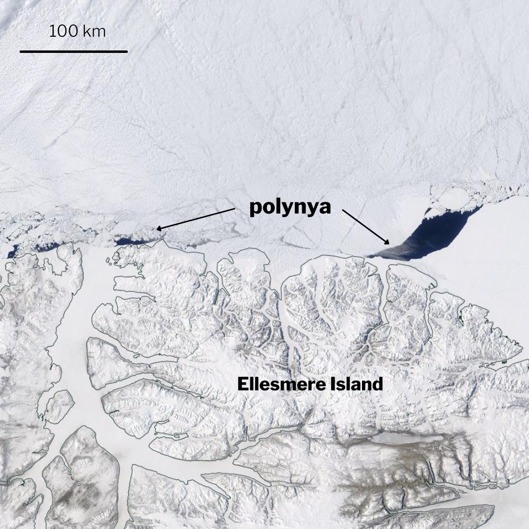 Fenda de gelo de 3 ml quilômetros avistada em maio de 2020 no norte da ilha de Ellesmere, no Canadá  (Foto: NASA EOSDIS Worldview)