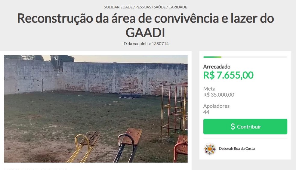 Gaadi faz vaquinha online para arrecadar quantia de reforma de área externa de abrigo — Foto: Reprodução/Vakinha