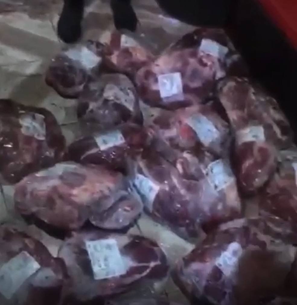 Cargas de carne são saqueadas de trem no litoral de São Paulo — Foto: Reprodução