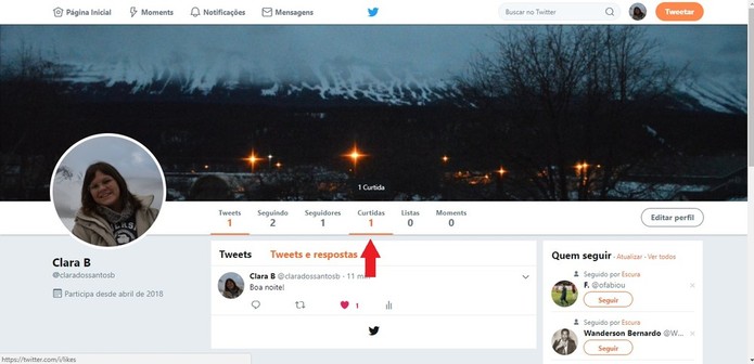 Curtir um tweet faz com que ele fique salvo em uma lista, como se fossem as postagens que você mais gosta (Foto: Reprodução/Clara Barreto) Curtir um tweet faz com que ele fique salvo em uma lista, como se fossem as postagens que você mais gosta (Foto: Reprodução/Clara Barreto)