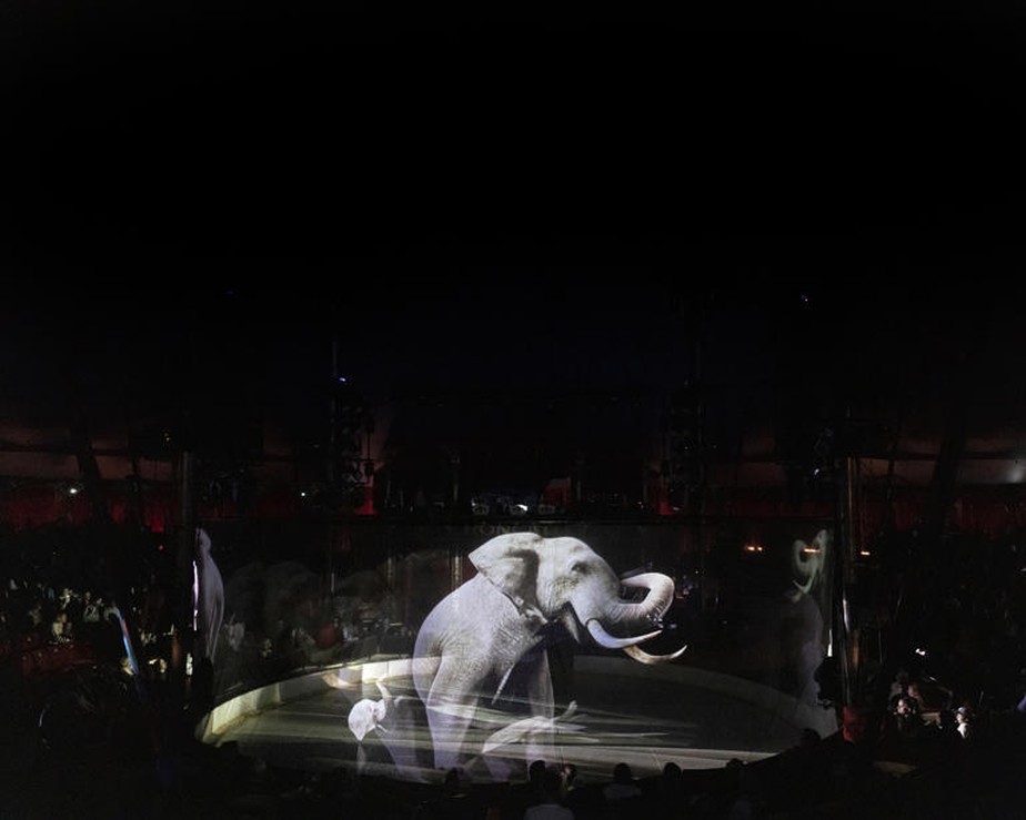 O elefante holográfico dá as boas-vindas aos espectadores no circo Roncalli, na Alemanha