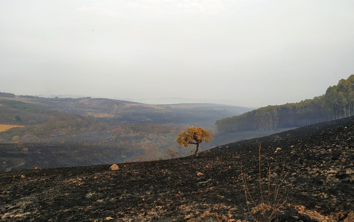 Chuva Ajuda Corpo De Bombeiros E Brigadistas A Controlar Incêndio Em Pontos Turísticos De 