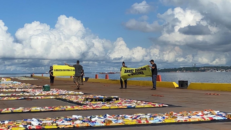 Greenpeace protesta contra atuação do Governo na pandemia — Foto: Patrick Marques/G1