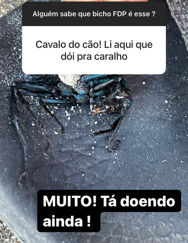 André Marques é picado por vespa em gravações de No Limite no Ceará