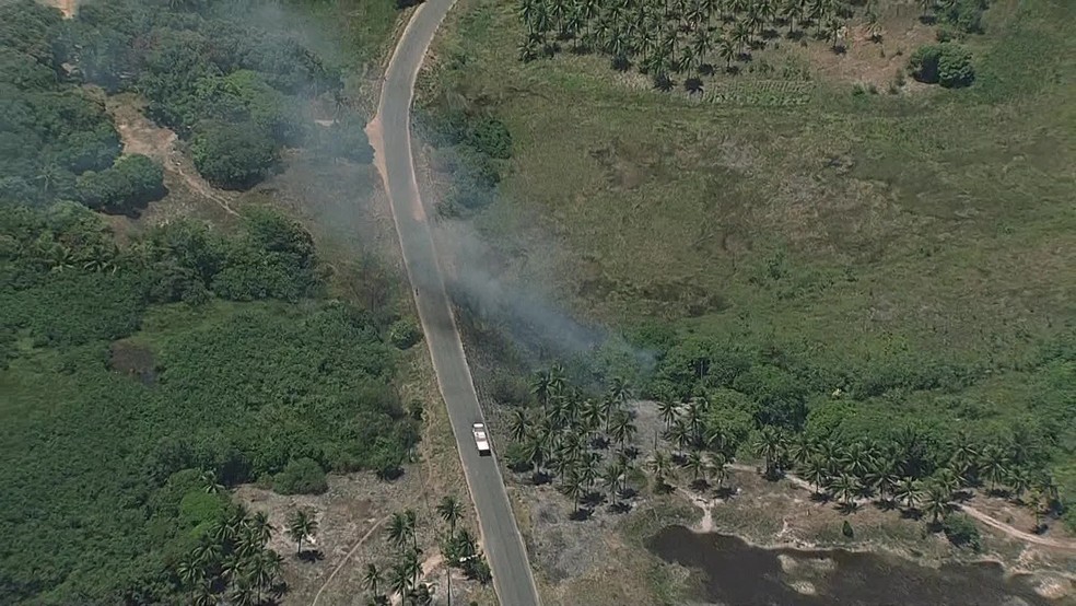 Incêndio atingiu coqueiral de Maracaípe, em Ipojuca — Foto: Reprodução/TV Globo