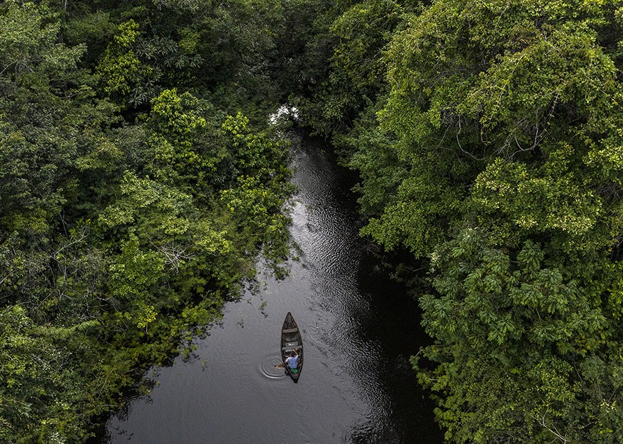 Vista aérea da biodiversidade aquática da Amazônia (Foto: Marizilda Cruppe/Divulgação)