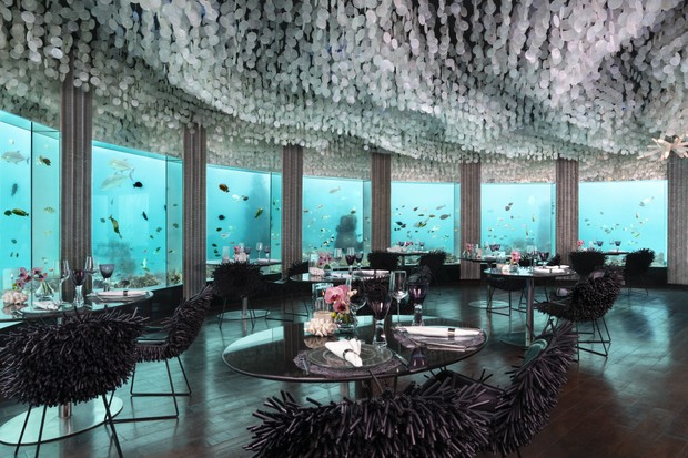 Museus, restaurantes e mais: conheça 7 atrações subaquáticas (Foto: Divulgação)