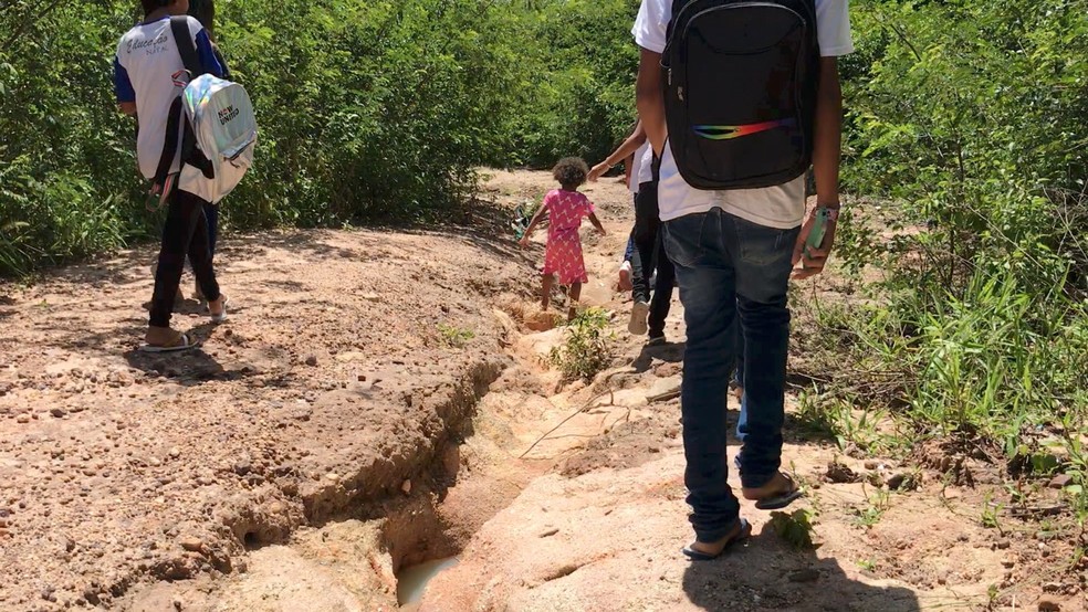 Crian&ccedil;as atravessam &aacute;rea de mata para assistirem aulas em Natal &mdash; Foto: Lucas Cortez/Inter TV Cabugi