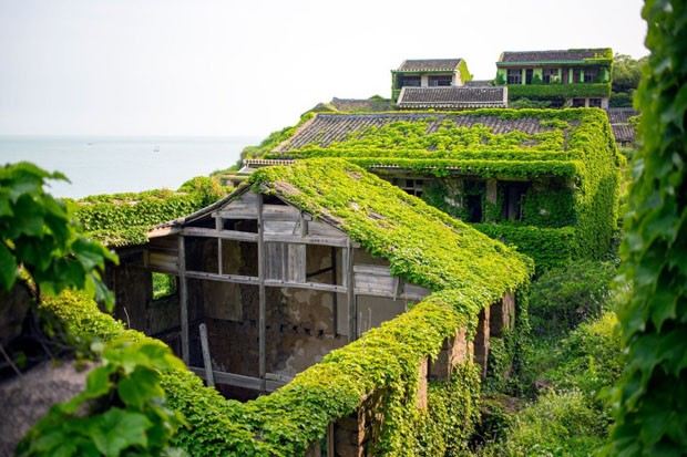 Vila na China é tomada por vegetação (Foto: Joe Nafis / Divulgação)