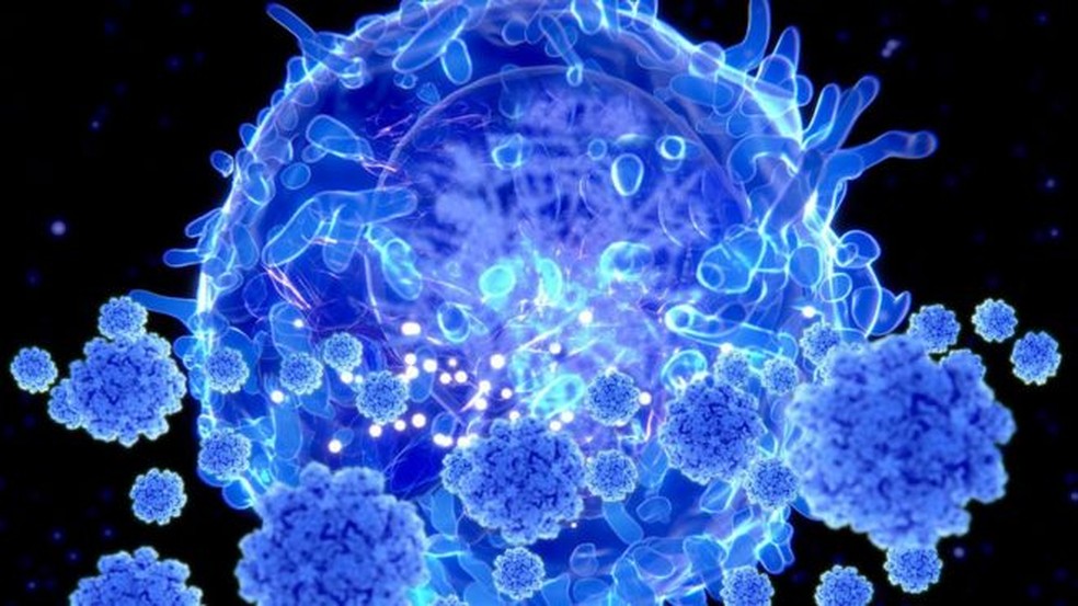 As células T são um tipo de linfócito, células de defesa do sistema imunológico presentes no sangue — Foto: Science Photo Library/BBC