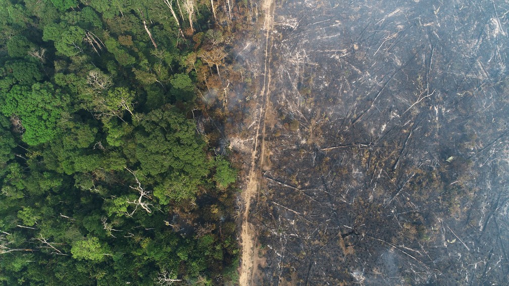 Vista aérea de área queimada na Amazônia, perto de Apuí, no Amazonas, no dia 11 de agosto. — Foto: Ueslei Marcelino/Reuters