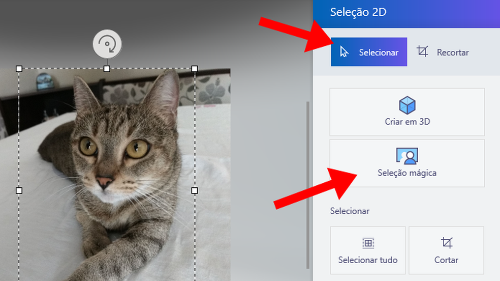 Como Tirar O Fundo De Uma Imagem No Paint 3d Como Recortar E Mudar O Fundo De Uma Foto No Paint 3d Imagens