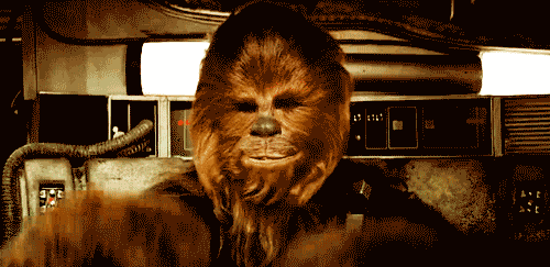 Chewie (Foto: Reprodução)